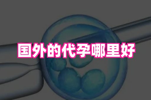 安徽助孕网 2